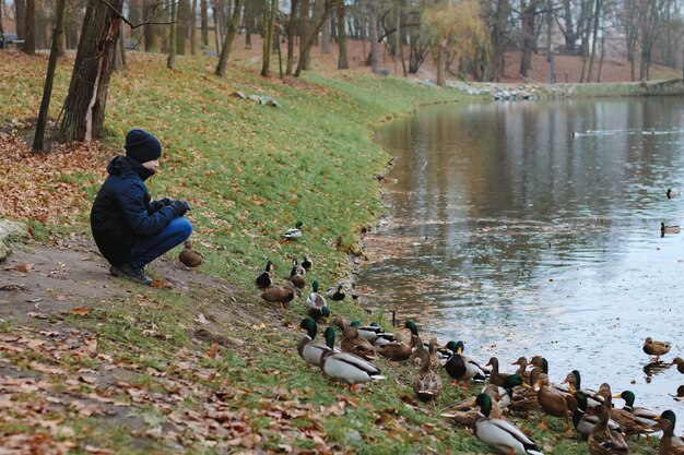 Ragazzo seduto sulla riva vicino al lago della città e alimentando le anatre domestiche selvatiche in autunno freddo.