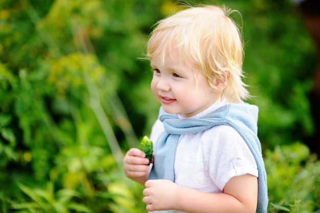 Ragazzo sveglio del bambino che mangia cetriolo organico fresco in giardino domestico