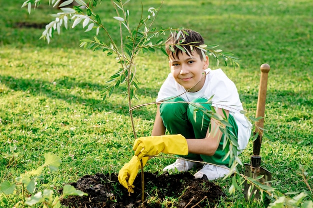 Ragazzo teenager che pianta un albero nel parco
