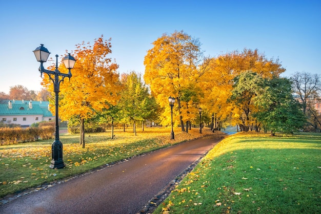 Raggi del sole attraverso alberi autunnali multicolori dorati nel parco Tsaritsyno a Mosca