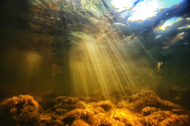 raggi del sole sotto il paesaggio acquatico, immersioni sul fiume in acqua dolce con vista sul mare