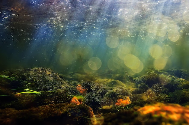 raggi del sole sotto il paesaggio dell'acqua, immersioni sul fiume di acqua dolce del paesaggio marino