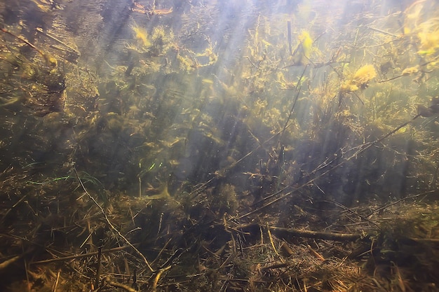 raggi del sole sotto il paesaggio dell'acqua, immersioni sul fiume di acqua dolce del paesaggio marino