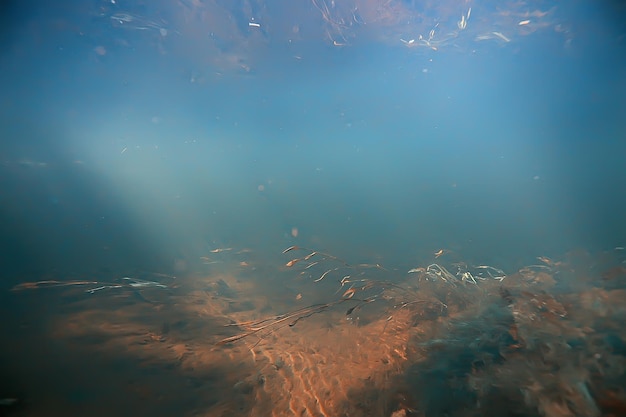 raggi di sole foto subacquee / texture paesaggio sottomarino con raggi di sole, sole d'acqua blu nell'oceano