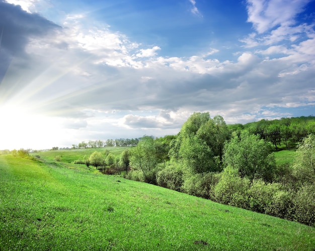 Raggi di sole sulla foresta sulla collina