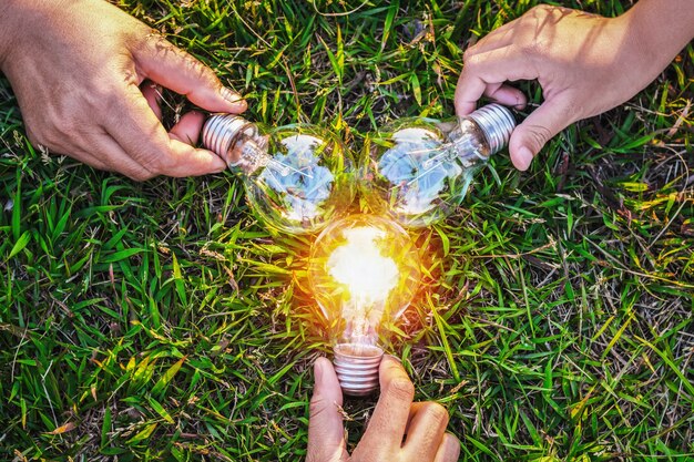 Raggruppi la lampadina della holding della mano con il tramonto su erba. idea di concetto di energia solare