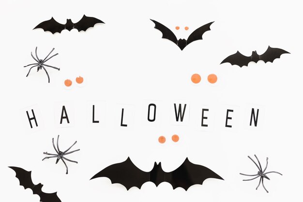 Ragni pipistrelli e testo halloween su sfondo bianco halloween layout piatto concetto di vacanza