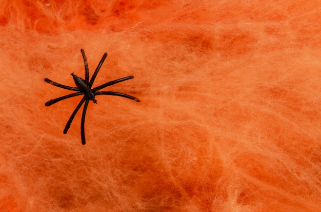 Ragno sul fondo arancio di concetti di Halloween di web con lo spazio della copia