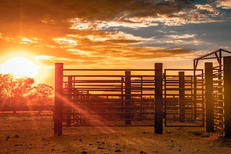 Foto railing contro il cielo durante il tramonto