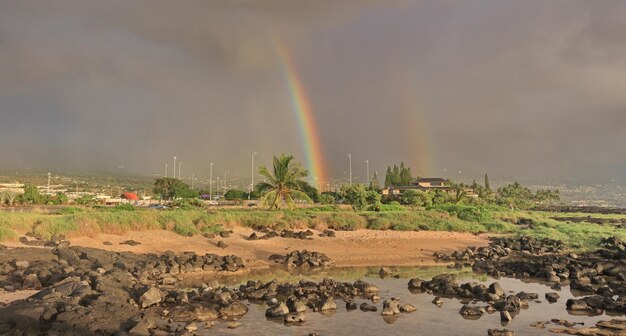 Rainbow kailu-kona hi