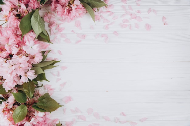 Rametti di albero di sakura con fiori e petali su uno sfondo bianco in legno.