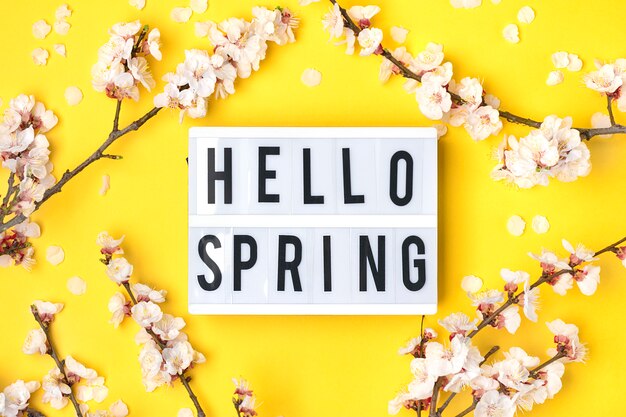 Rametti di albicocca con fiori, lightbox con testo Ciao primavera