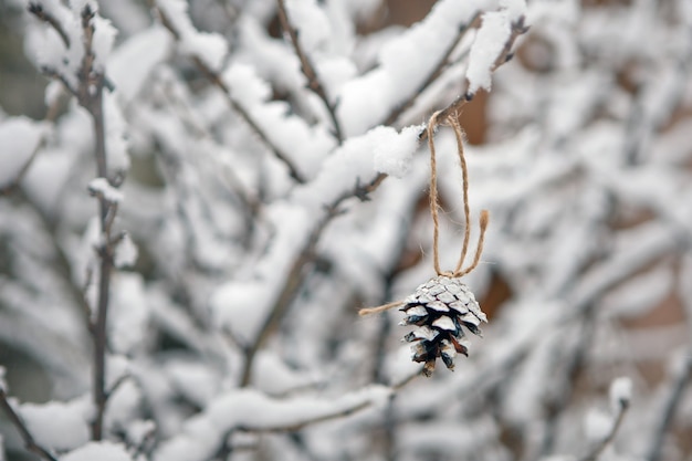 Rami con neve e coni di albero di Natale. sfondo invernale e natura