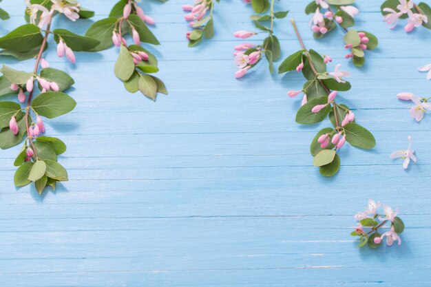 Rami del cespuglio con i fiori rosa sulla parete di legno