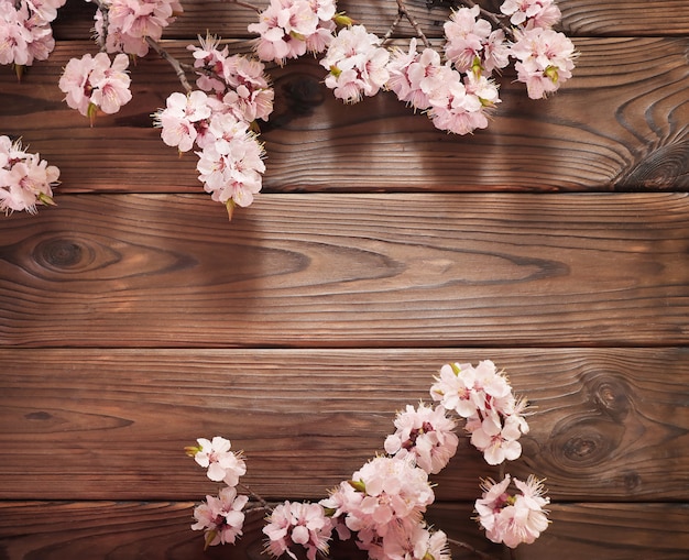 Rami del fiore della primavera su fondo di legno