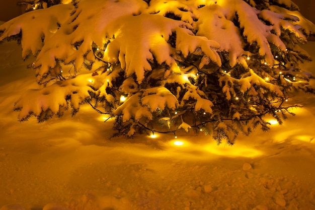 Rami di abete innevati con ghirlande di Natale decorative incluse di notte