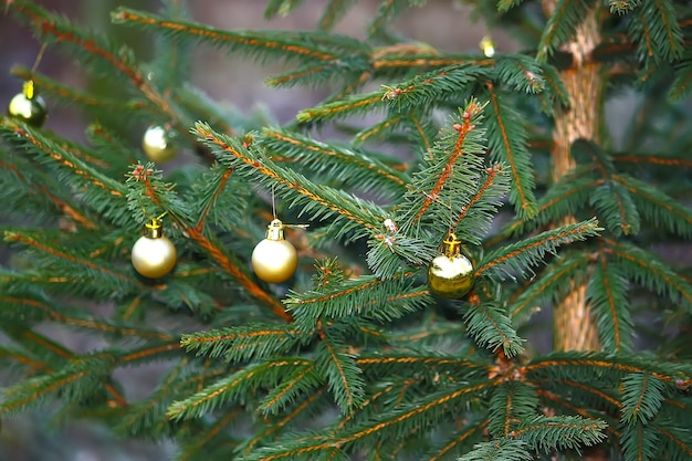 Rami di albero di Natale decorati all'aperto