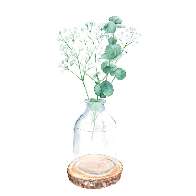 Rami di eucalipto e gypsophila in vaso vaso su sega rotonda in legno tagliato ad acquerello disegnato a mano