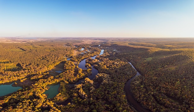 Rami di fiume che scorrono tra il paesaggio forestale in autunno