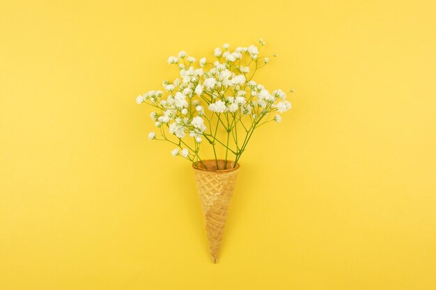 Rami di gypsophila bianca in un cono di cialda come segno della prossima primavera