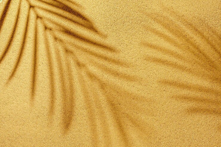 Rami di ombra di palma su una spiaggia di mare strutturata alla luce del sole