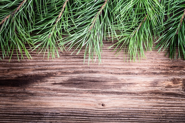 Rami di pino su superficie in legno