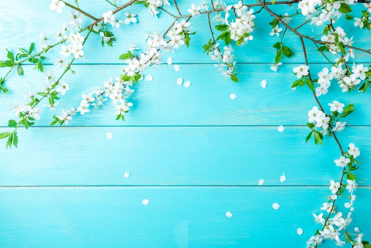 Foto rami di primavera su assi di legno