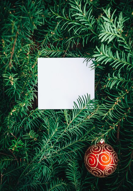 Rami di un albero di Natale e un foglio di carta vuoto