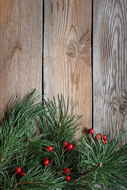 Rami di un albero di Natale (pino) con rosa canina su uno sfondo di legno. Natale e Capodanno