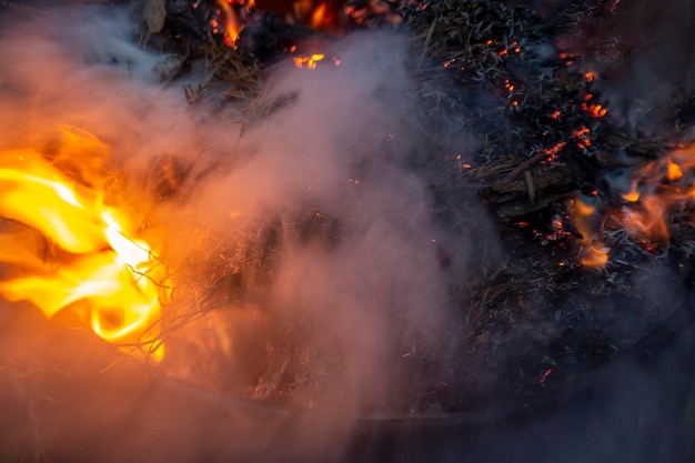 Rami fumanti, fuoco e fumo.