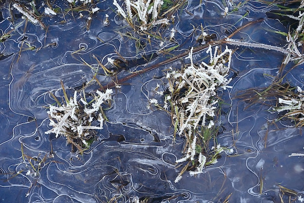 rami ricoperti di brina sfondo, paesaggio astratto neve inverno natura gelo