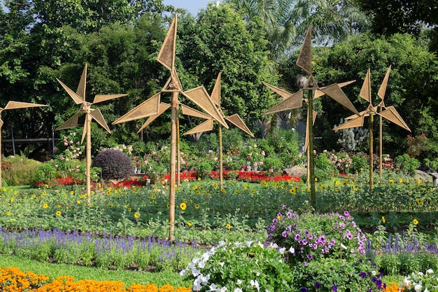 Rami verdi del giardino botanico del vaso della pianta