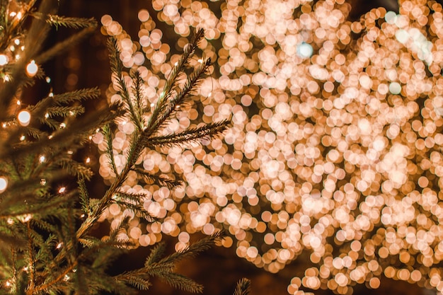 Rami verdi di abete di albero di Natale vivo sullo sfondo di luci bokeh di Natale dorate
