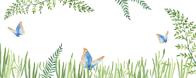 Rami verdi erba farfalle blu acquerello cornice di striscione orizzontale illustrazione botanica Perfetto come schema di banner web e invito