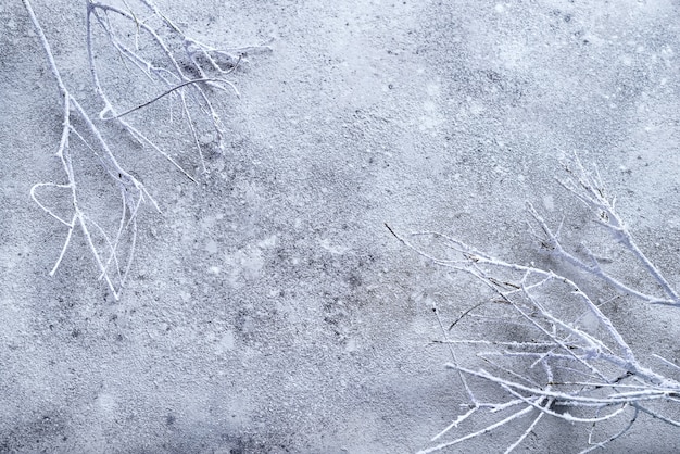 Ramo di albero bianco secco su fondo di pietra