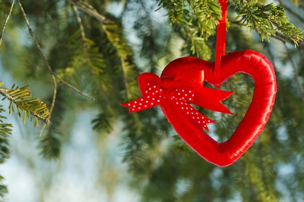 Ramo di albero con decorazione a cuore sullo sfondo della natura