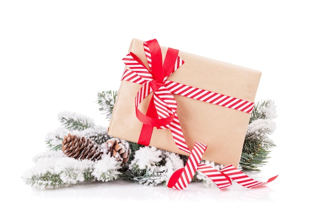 Ramo di albero di Natale con confezione regalo