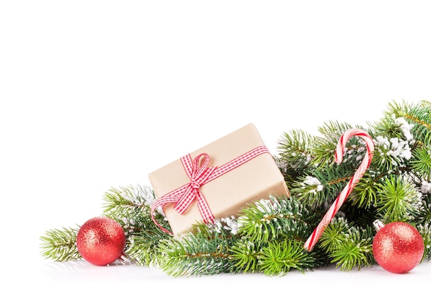 Ramo di albero di Natale con confezione regalo