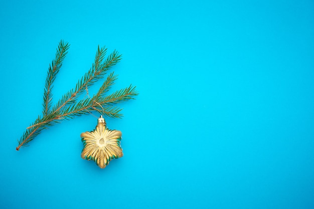 Ramo di albero di Natale con decorazione