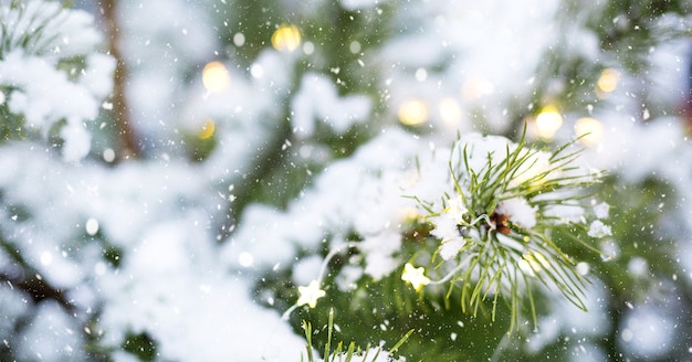 Ramo di albero di Natale di pino naturale nella neve alle luci di ghirlande e bokeh. Capodanno all'aperto. Nevicate, luci di ghirlande, atmosfera festosa di fiabe e magia, decorazione stradale. Copia spazio