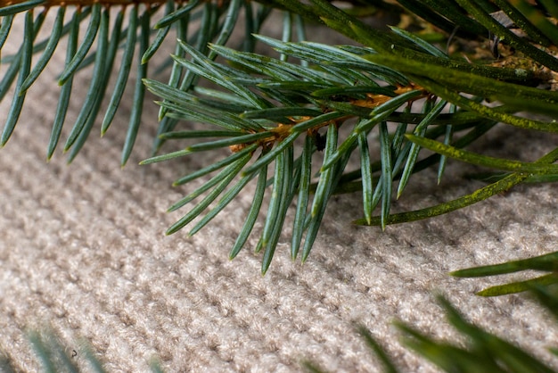 Ramo di albero di Natale sullo sfondo di un tessuto verde a maglia