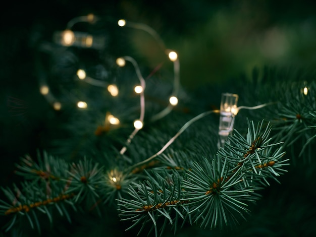 Ramo di albero di Natale verde e luci gialle