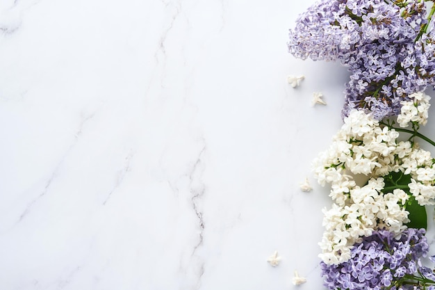 Ramo di bellissimo lilla bianco su sfondo grigio. Vista dall'alto. Biglietto di auguri festivo con peonia per matrimoni, felice festa della donna San Valentino e festa della mamma.