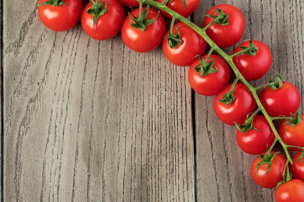 Ramo di ciliegia di pomodori