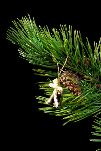 Ramo di conifere su sfondo scuro con cristmas giocattolo,oro(en) campanula