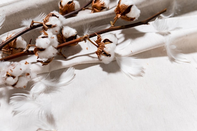 Ramo di cotone con fiori secchi da vicino
