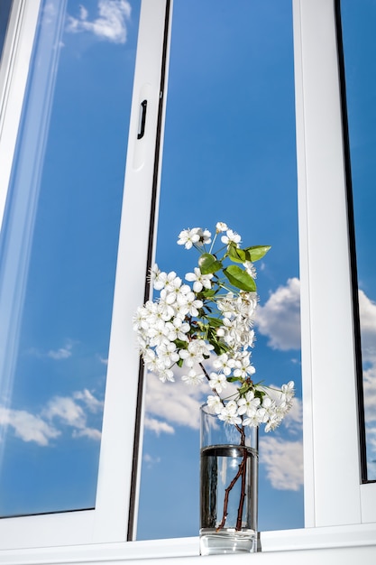 ramo di fiori di ciliegio contro la finestra e il cielo