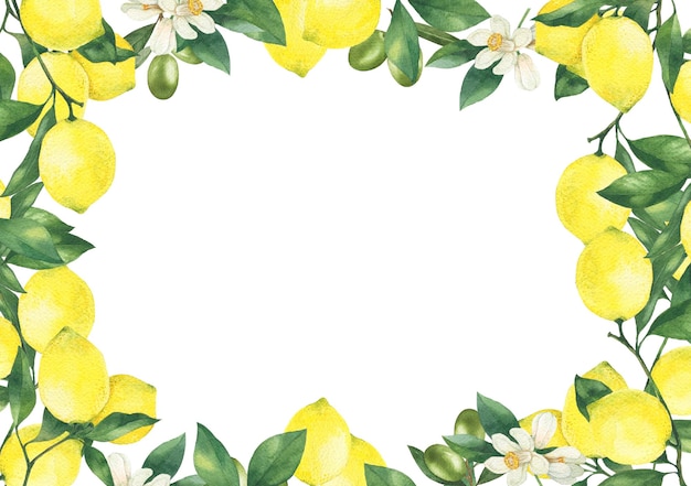 Ramo di limone con fiori disegnati a mano illustrazione acquerello Cornice di limone isolata su bianco