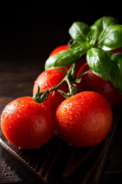 Ramo di pomodori maturi naturali e foglie di basilico