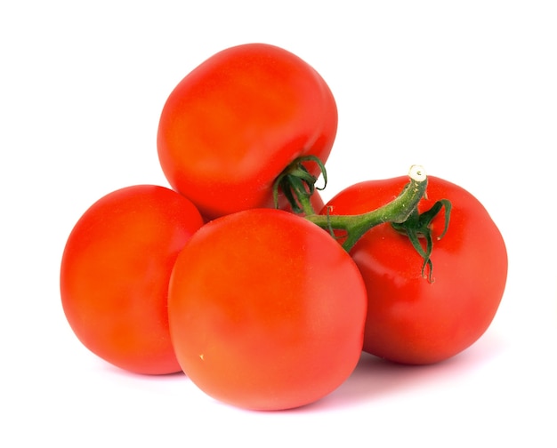 Ramo di pomodori rossi succosi